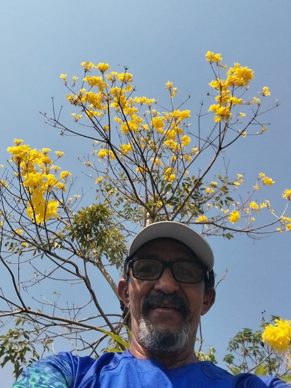 Álvaro Moraes do Amaral